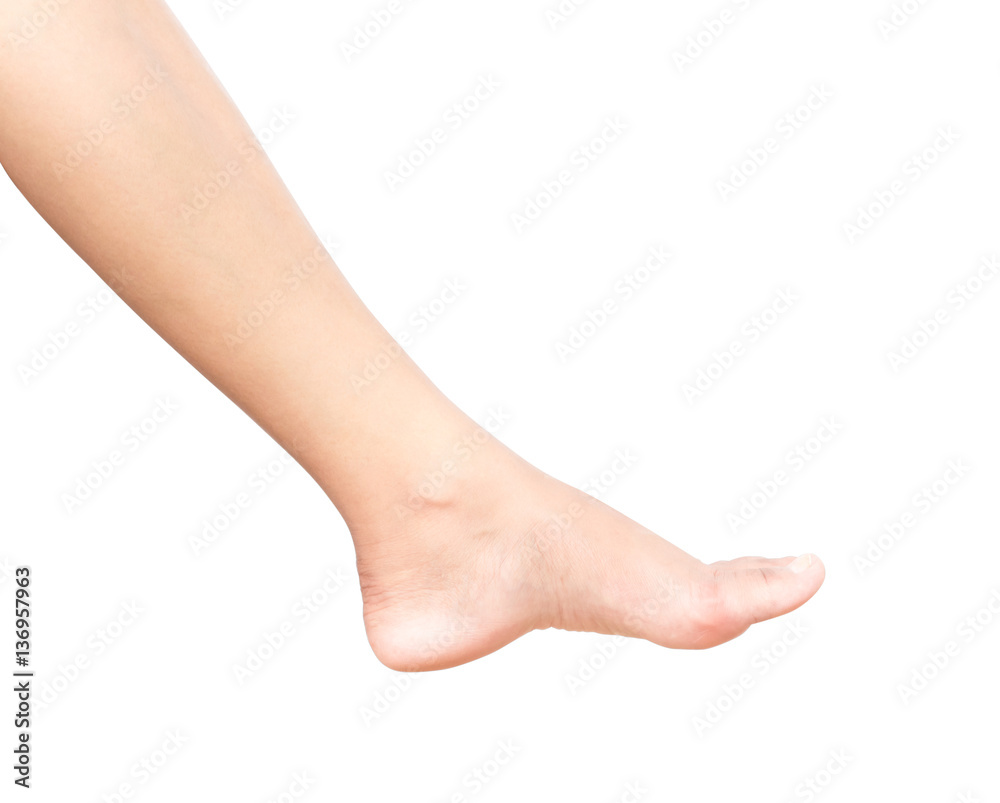Legs woman on white background for skin care and body beauty pro Legs woman on white background for skin care and body beauty pro