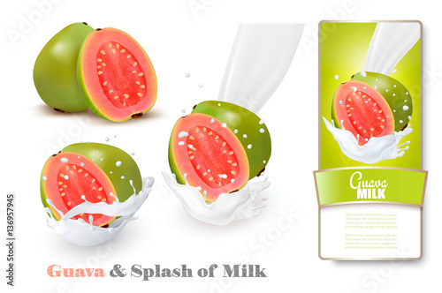 Fresh guava in milk splashes. Vector.