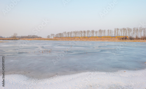 Shore of a frozen lake in winter 