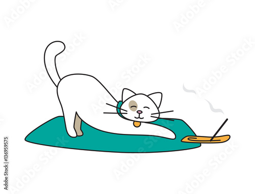 Vector isolated personage. Cat doing yoga isolated on white.