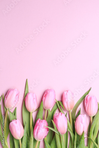 Fototapeta Naklejka Na Ścianę i Meble -  Pink tulips on the pink background. Flat lay, top view.  Valenti