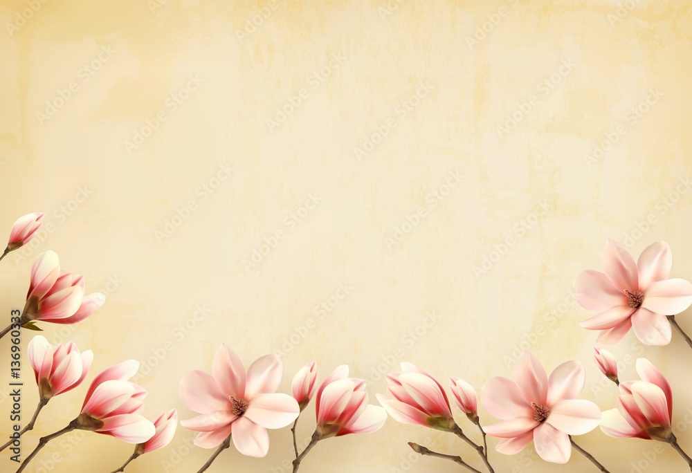 Frame made out of magnolia flowers. Vector.