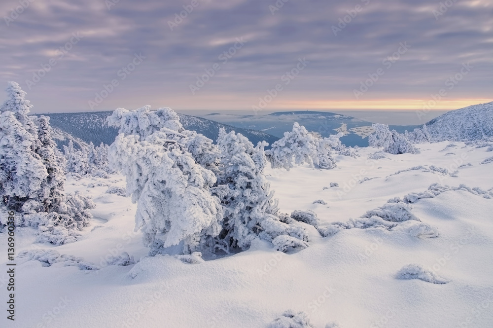 Riesengebirge im Winter - Giant Mountains in winter