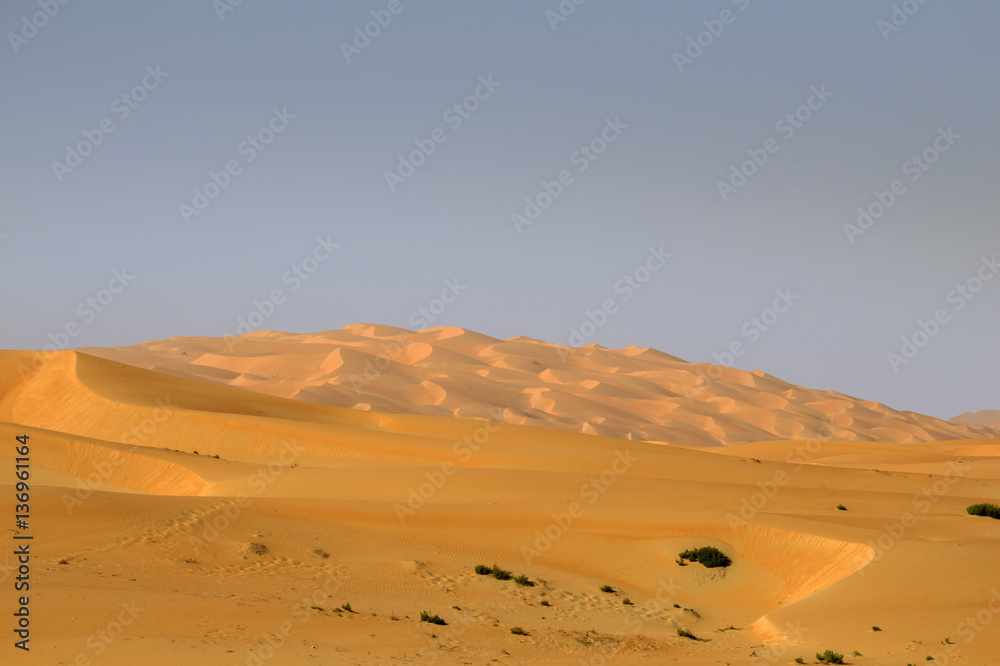 empty quarter desert view