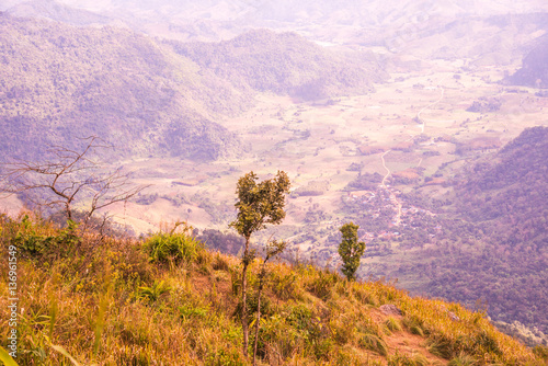 Top view on Phu Chi Fa at Chiangrai province photo