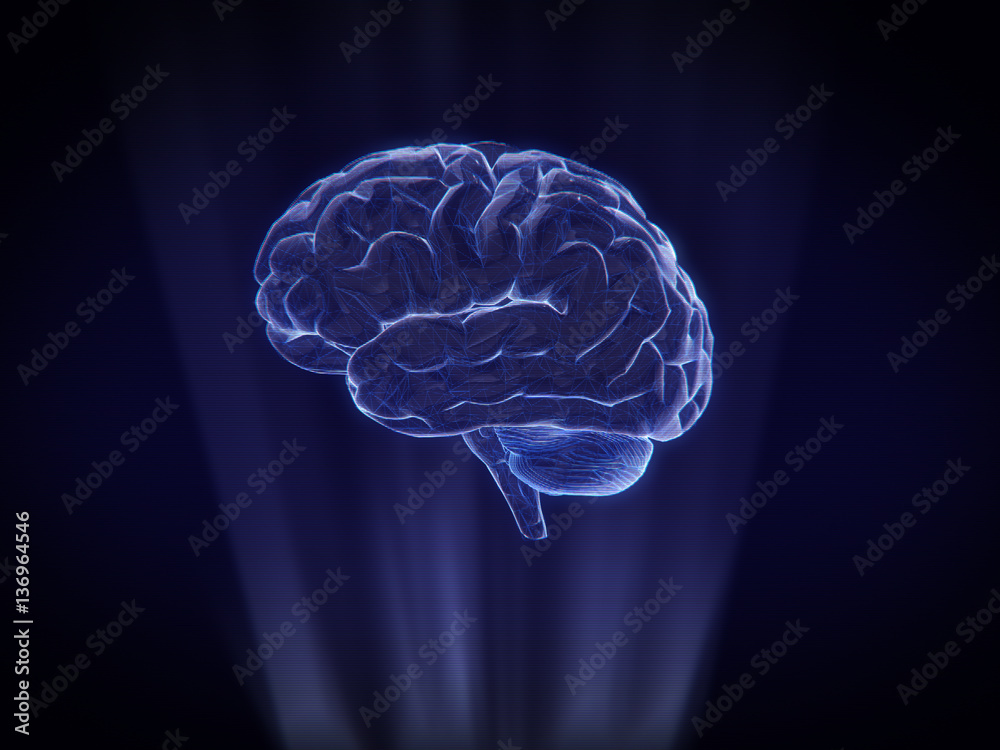 brain Hologram Wireframe Style.3D rendering brain Hologram Wireframe Style.3D rendering