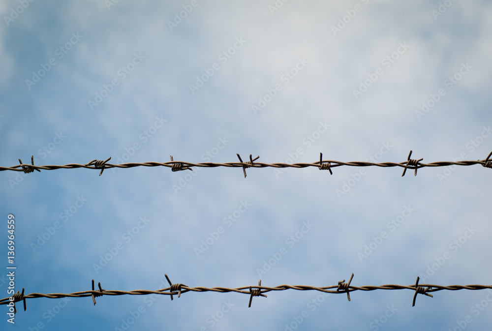 Barbed wire Barbed wire