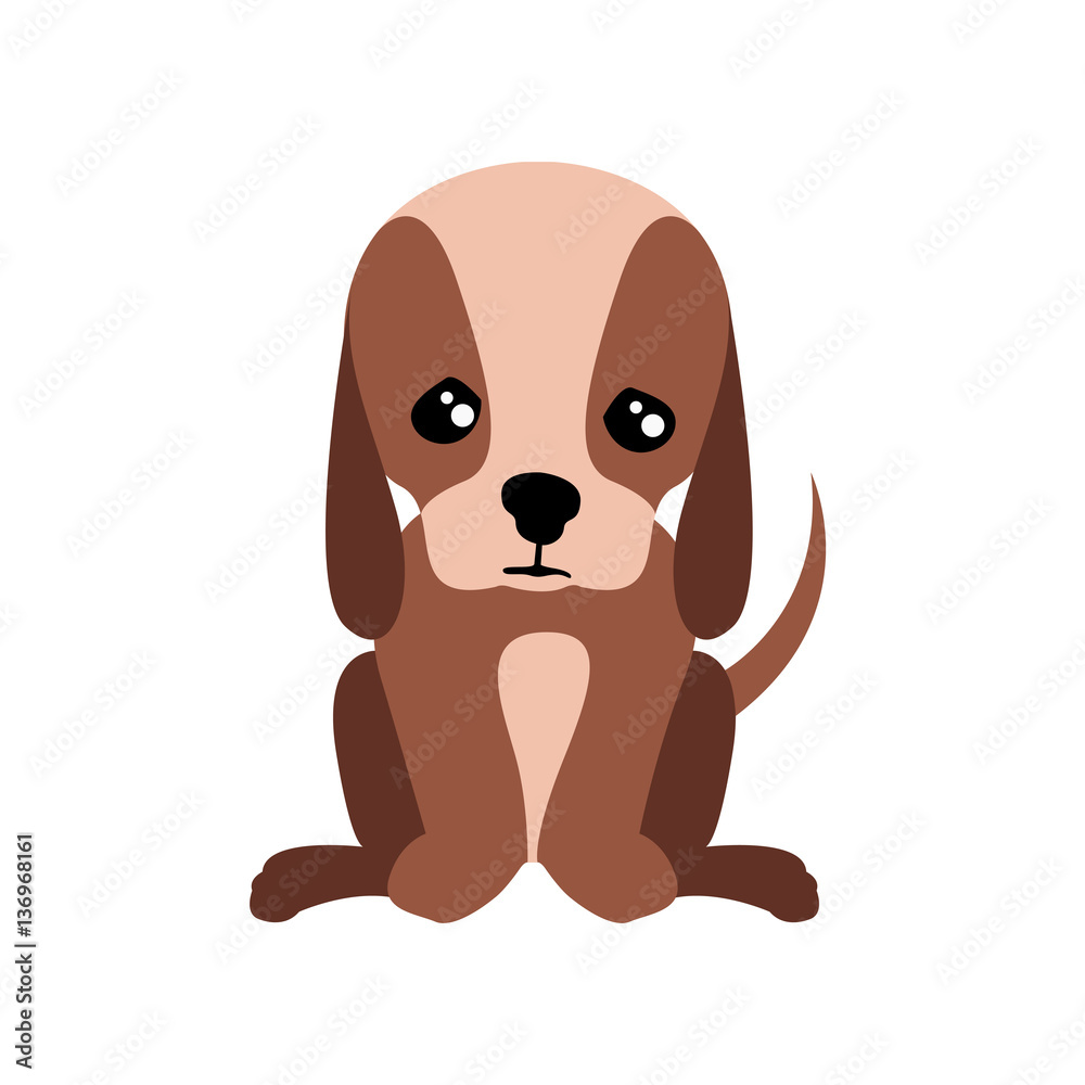Obraz premium Isolated cute dog