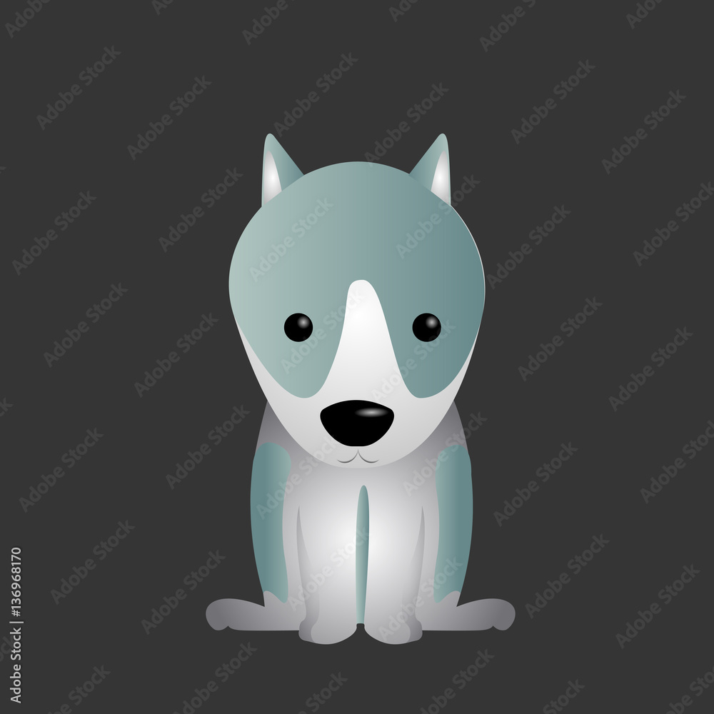 Isolated cute dog Isolated cute dog