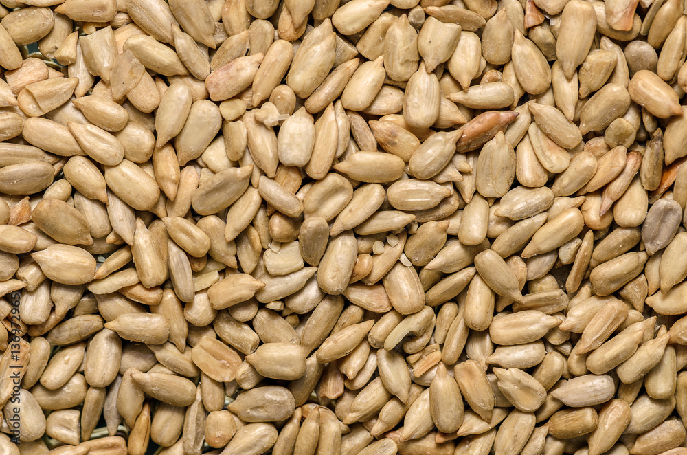 Heap of Sun flower seed background. Agriculture Heap of Sun flower seed background. Agriculture