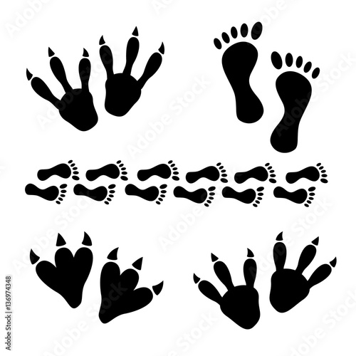 Photography Animal and reptile footprints vector. Set foot prints wild anima