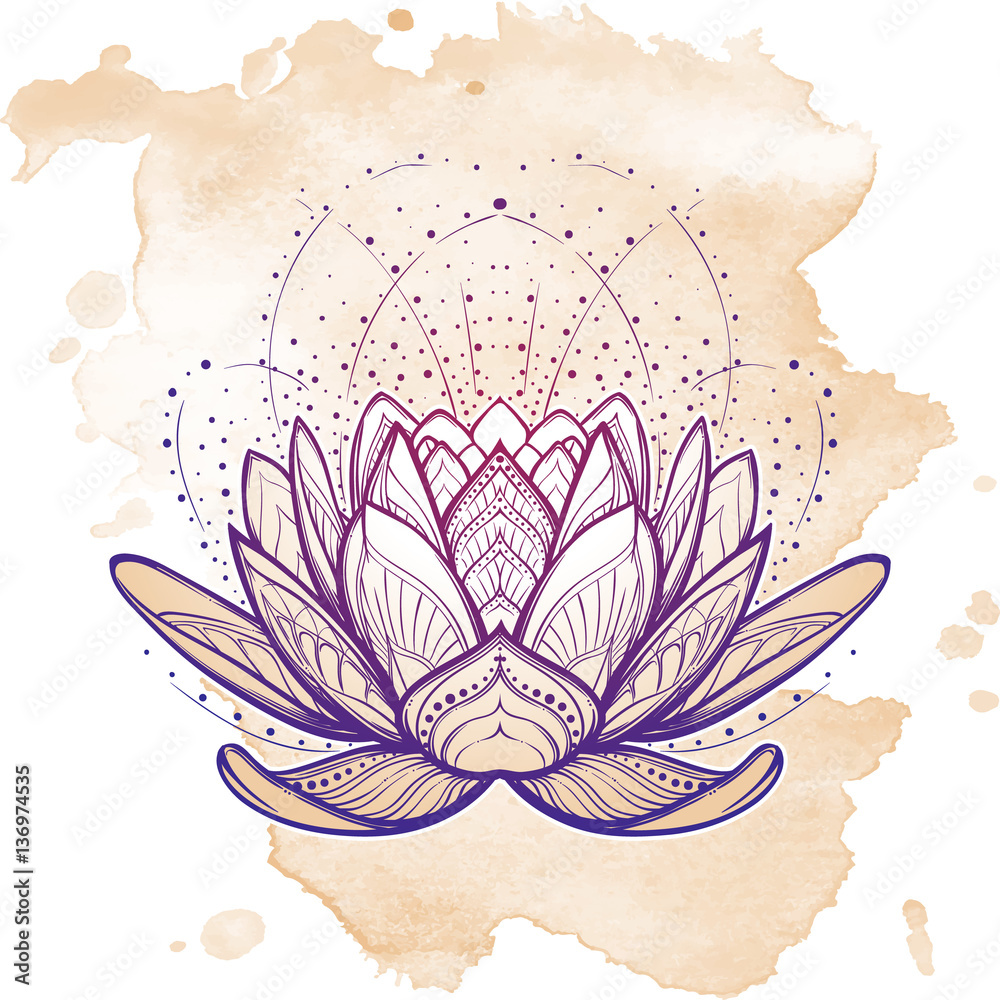 Vector drawing with outline Lotus flower decorative lace and swirls in  black isolated on white background Floral horizontal composition with  ornate lotus in contour style for tattoo design Stock Vector  Adobe