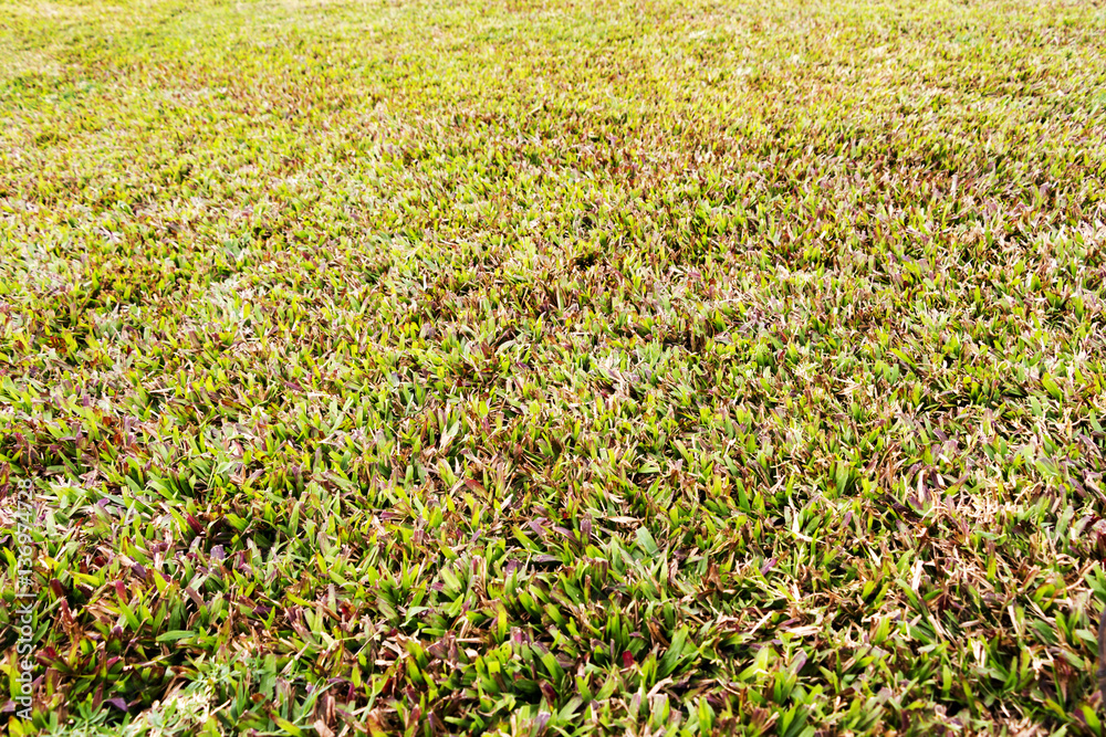 Natural landscapes Natural landscapes
