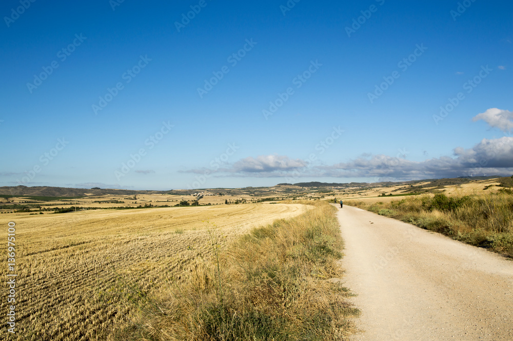 Road to Santiago from Los Arcos to Logroño