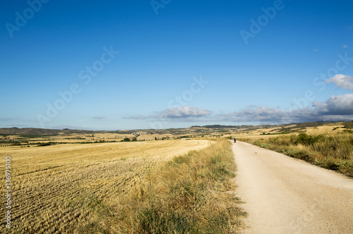 Road to Santiago from Los Arcos to Logroño © vicenfoto