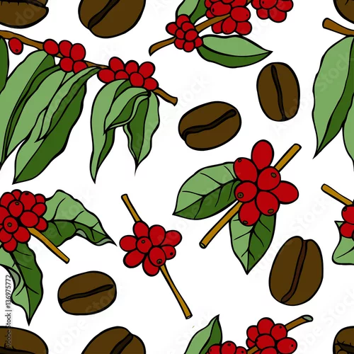 Tapety rośliny i ziarna kawy