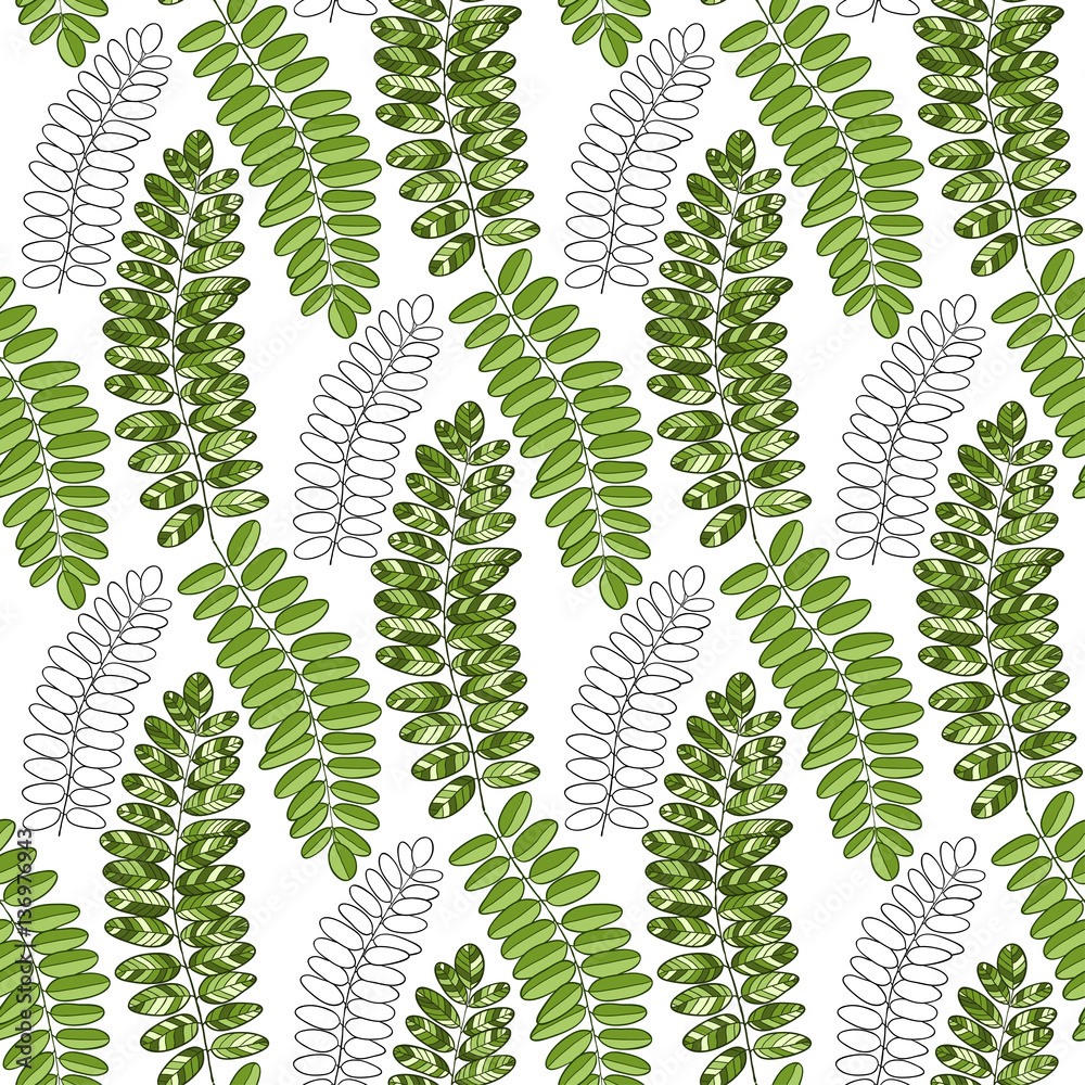 Bright textile pattern with acacia leaves. Vector background for packaging and fabric design