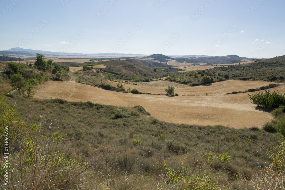Road to Santiago from Los Arcos to Logroño