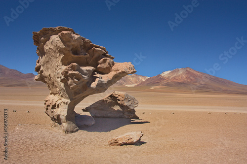 stone in the form of a tree of Arbol de piedra in the mountain desert of Siloli in Bolivia