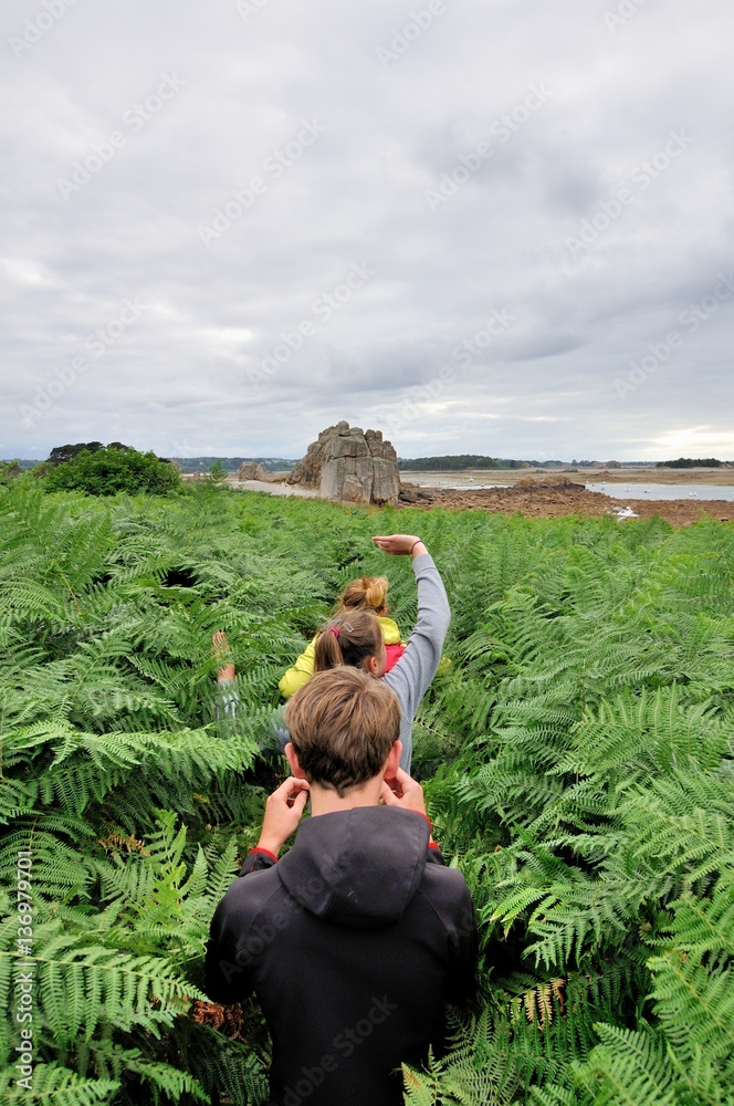 Φωτογραφία Une famille de randonneurs dans les fougères à Plougrescant en Bretagne