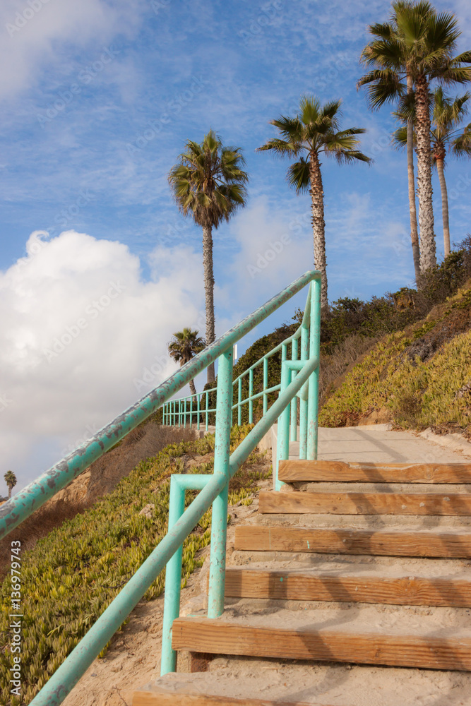 Wooden Beach Stairway with Palm Trees