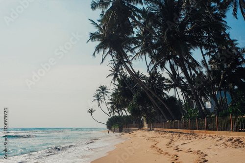 Tropical vacation holiday background - paradise idyllic beach. Sri Lanka