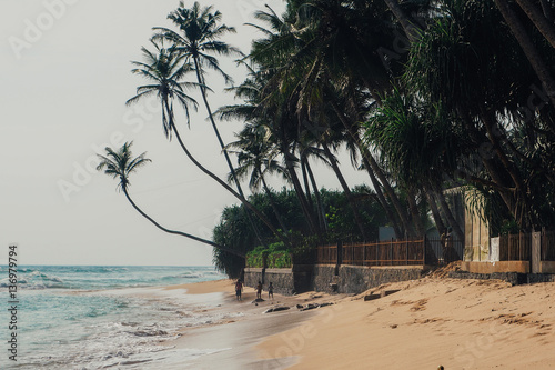 Tropical vacation holiday background - paradise idyllic beach. Sri Lanka