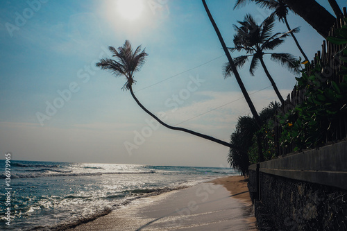 Tropical vacation holiday background - paradise idyllic beach. Sri Lanka