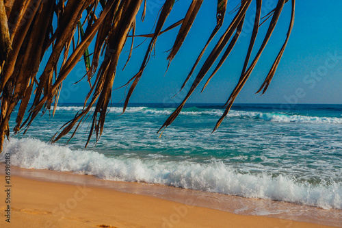 Tropical vacation holiday background - paradise idyllic beach. Sri Lanka