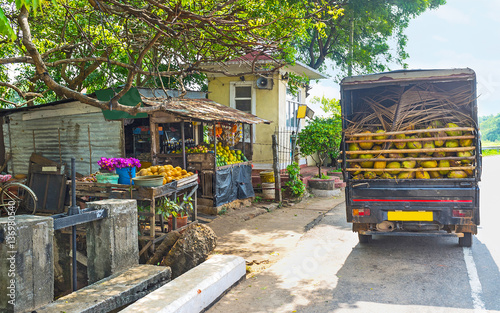 The fruit stall photo