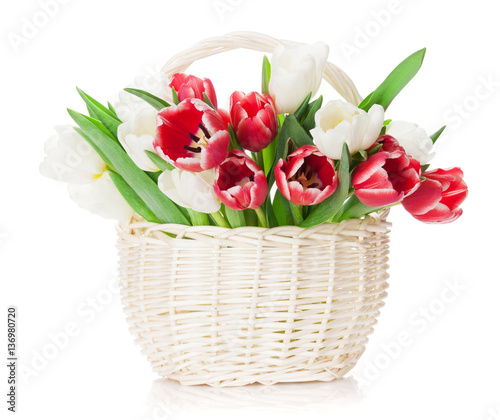 Colorful tulips bouquet basket © karandaev