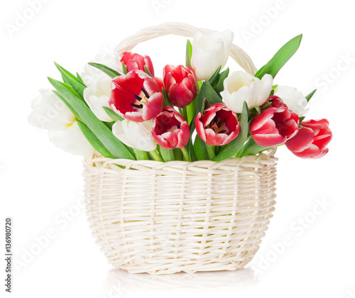 Fototapeta Naklejka Na Ścianę i Meble -  Colorful tulips bouquet basket