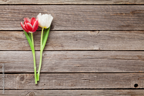 Fototapeta Naklejka Na Ścianę i Meble -  Colorful tulips