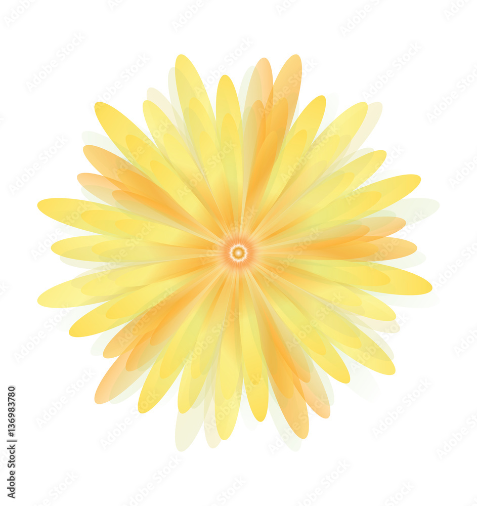 Flowers Daisy of Yellow Stock Illustration | Adobe Stock
