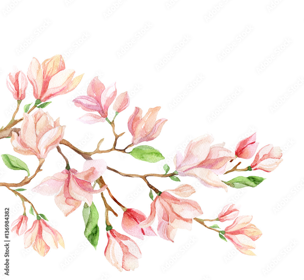 Watercolor magnolia flower card.