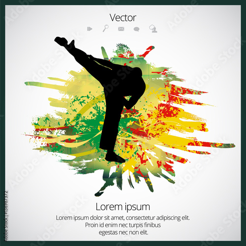 Silhouette of karate warrior, vector