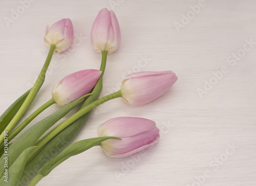 Fototapeta Naklejka Na Ścianę i Meble -  background with pink tulips. Bouquet of tulips on white wooden table. Tulips with copy space for text. 