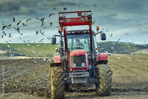 Tractor ploughing a field with feeding gulls