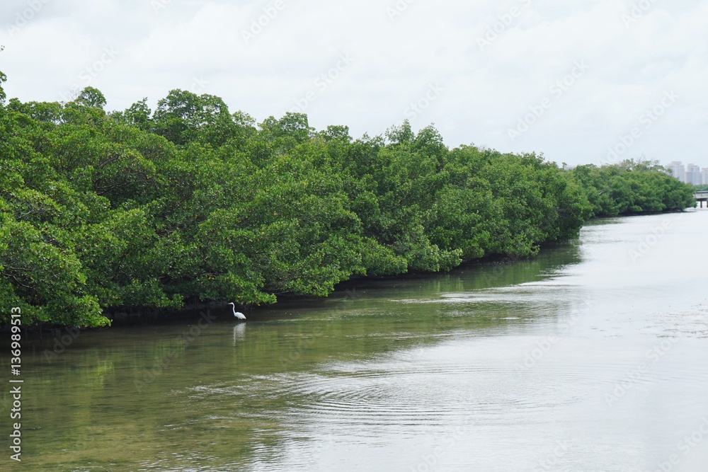 State Park in Florida