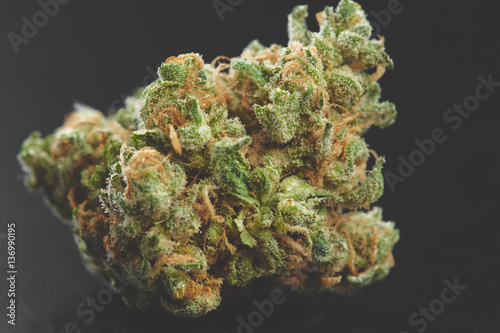 Close up of medical marijuana buds