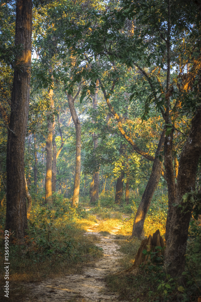 Naklejka premium Chitwan National Park