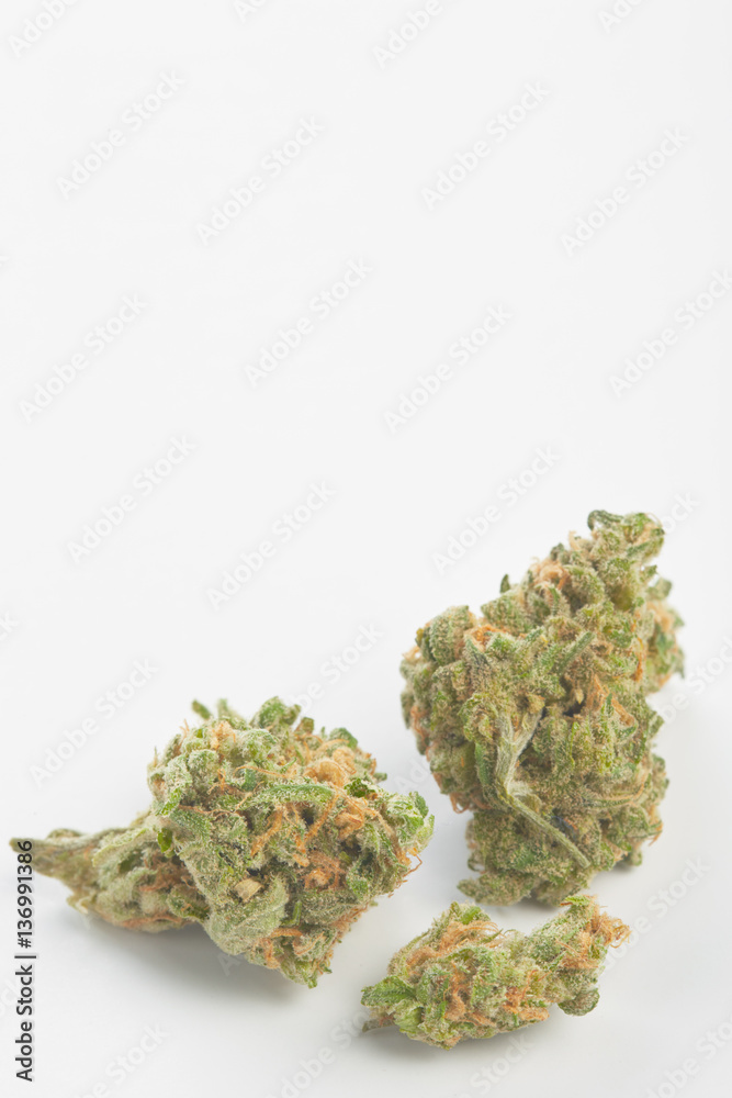 Close up of medical marijuana buds Close up of medical marijuana buds