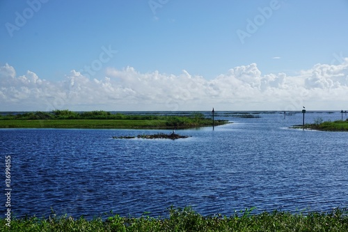  Am Okeechobeesee in Florida photo