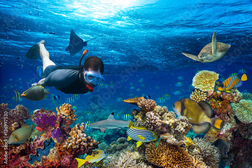 young male snorkler exploring colorful underwater world coral reef with many fishes sea turtle shark snorkling background photo