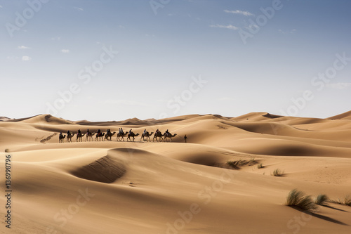 Caravana de camellos, Marruecos