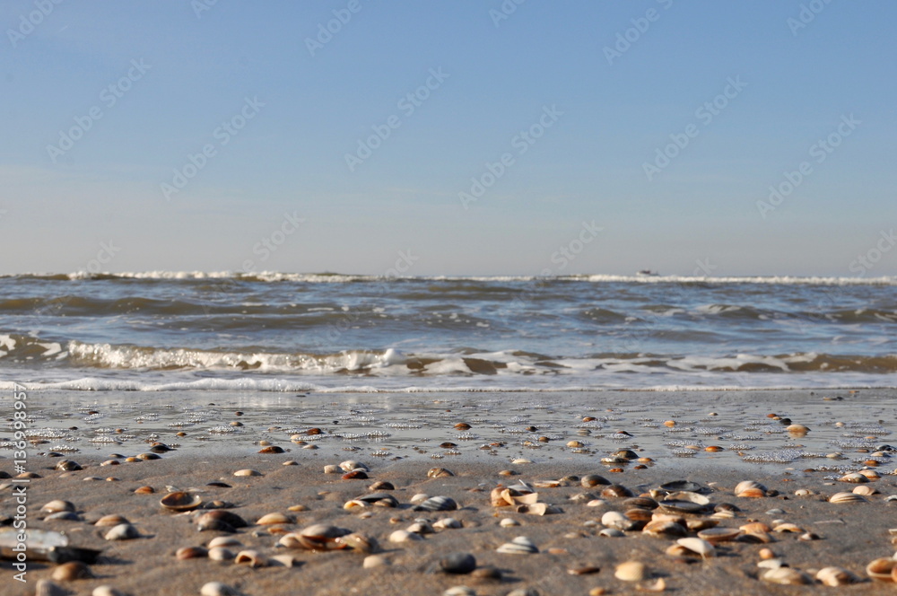 pebbles on a beach on a sunny afternoon with soft waves in the background