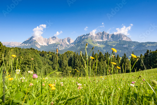 Austrian summer landscape, Kitzbuehel, Tyrol, Austria photo