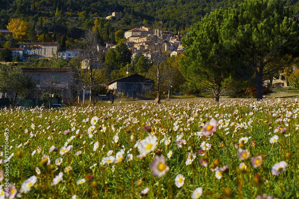 Seillans. Pays de Fayence. France.