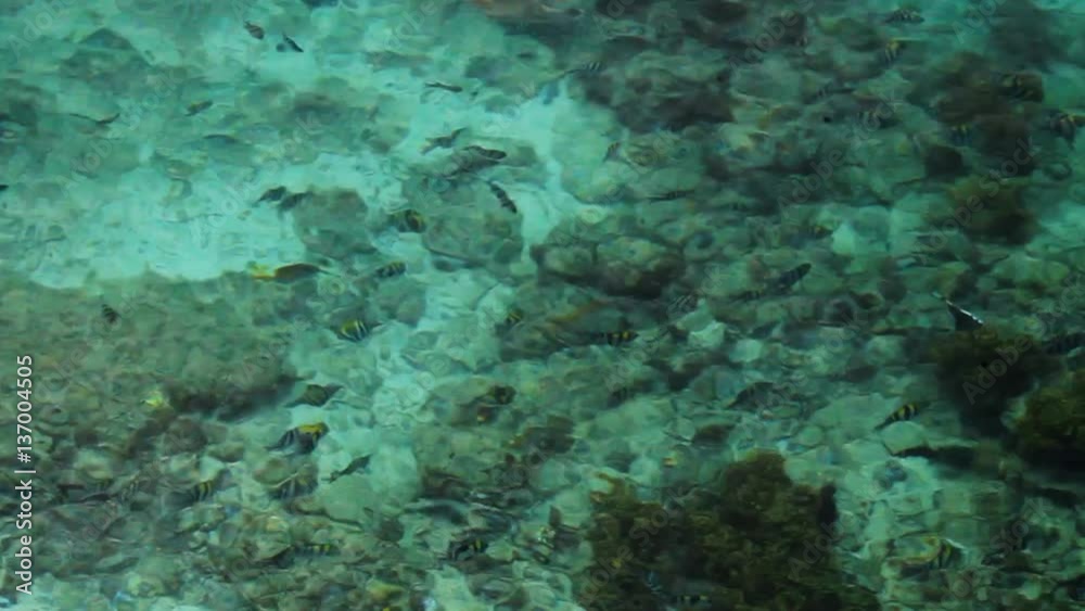 tropical beach,crystal clear water