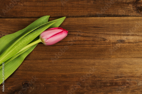 Pink tulips on a wooden background. Mother's Day. Spring flowers